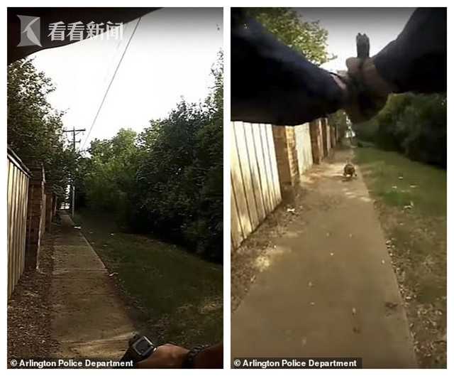 美国一警察连开3枪打疯狗 结果躺地上的主人被杀