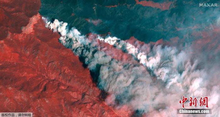 ���������һҳ