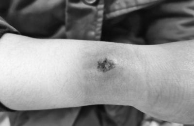 ���������һҳ