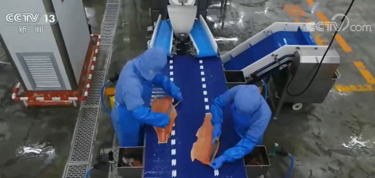 ���������һҳ