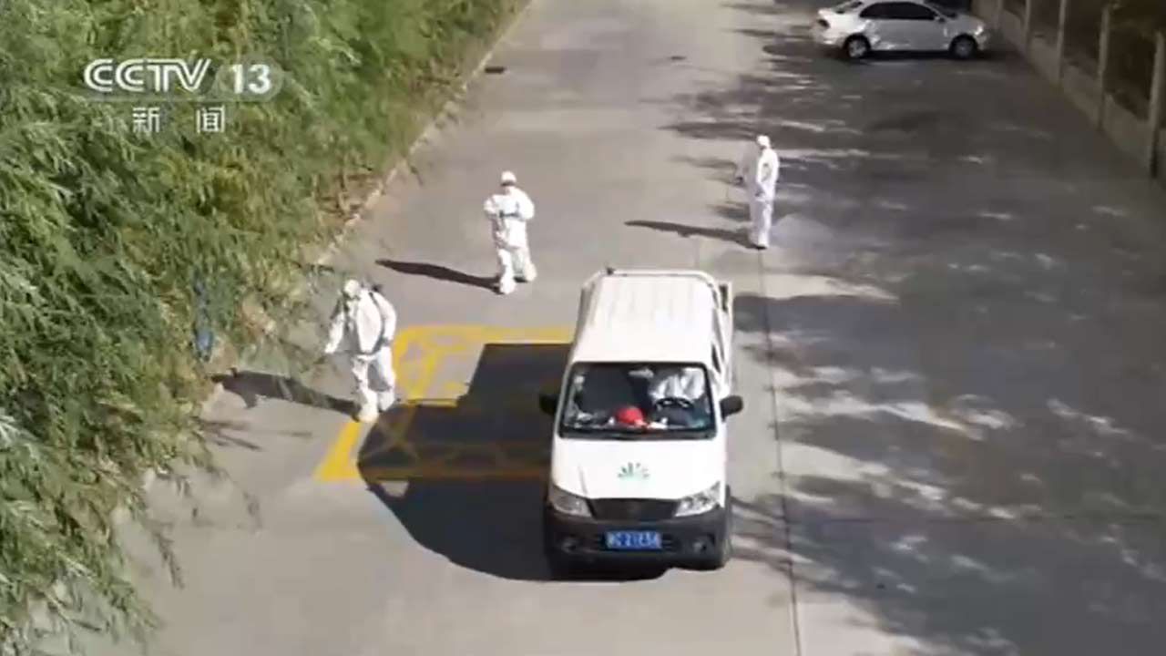 ���������һҳ