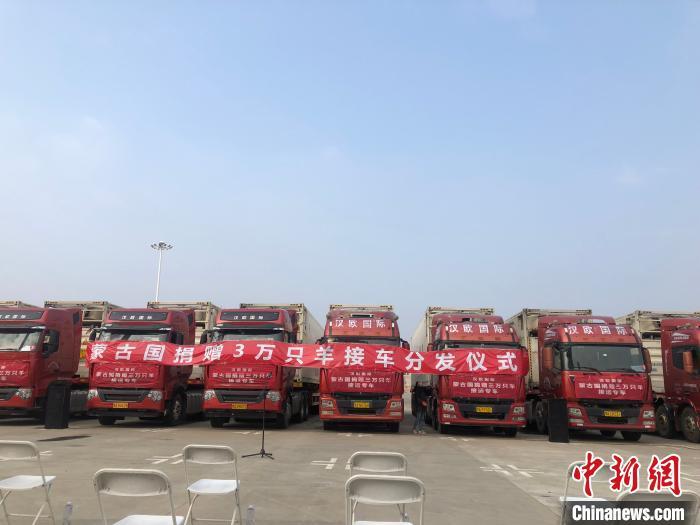 ���������һҳ