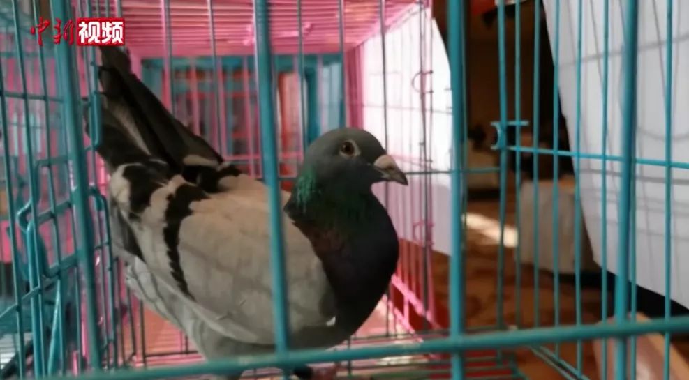 ���������һҳ