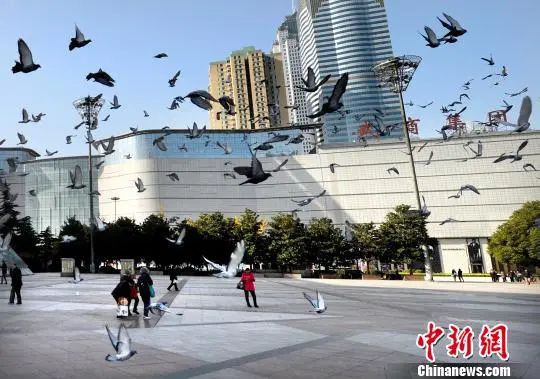 ���������һҳ