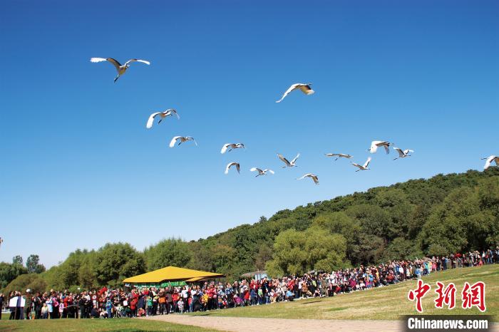 ��������ɽ��������԰�����׷ŷɡ�����ͼ ��������ͼ ��