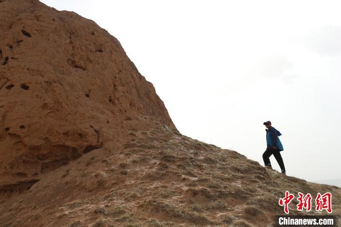 ����ϣ���ڶԳ��ǽ���Ѳ��(����ͼ)�����ھ� ��