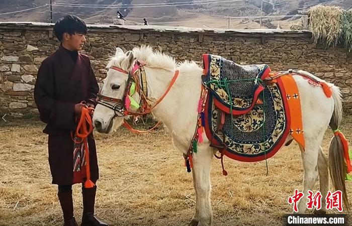 ����������С���������顱����Ƶ��ͼ