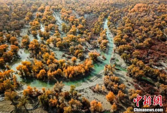 ���������һҳ