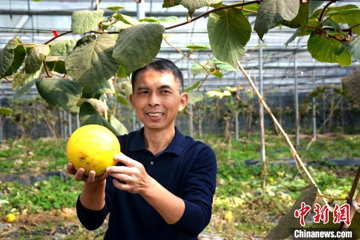 «��嵳֧����Ƿ�ˮ��չʾ����ũҵ��ƶ������ֲ����ϡ������� ��