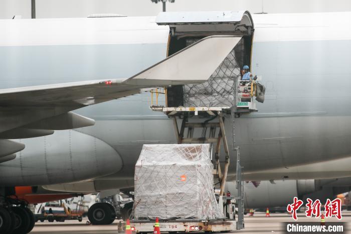 ���������һҳ