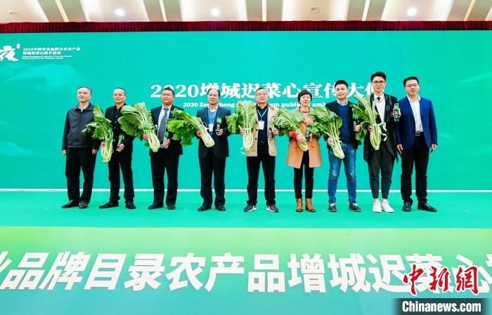 2020����֮ҹ�����й�ũҵƷ��Ŀ¼ũ��Ʒ���ǳٲ����ƽ��ڹ����鵺���ݾ��С����̾�ΰ ��