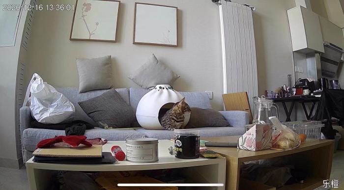 Զ�̼���п�����è�䡣 �ܷ��߹�ͼ