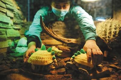 ���������һҳ