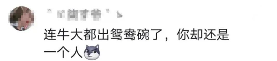 ���������һҳ