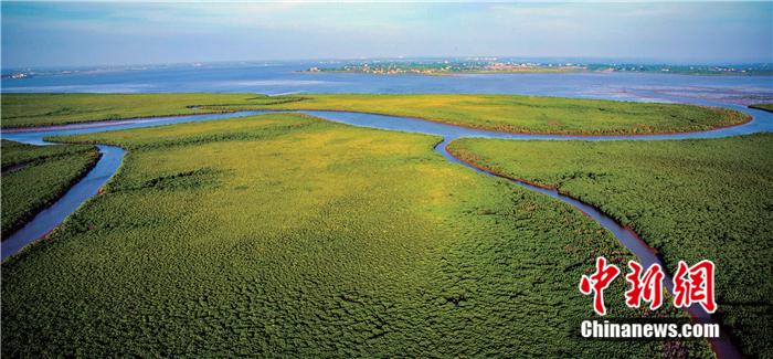 ���������һҳ