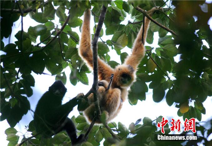 ���������һҳ