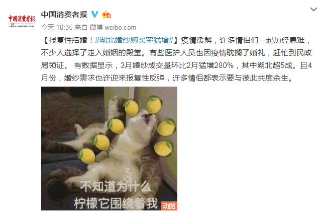 ���������һҳ