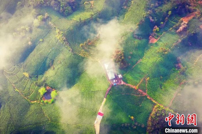 �������ء���������Ҷ�ӡ�������������������ƶ