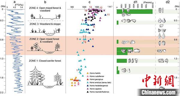 ���������򻷾�����������չ������弰������ַ������ʯ���Ļ�����ʯϼ ��ͼ