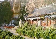 天成寺舍利塔 天成寺舍利塔