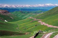 伊犁河美景 伊犁河美景