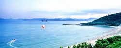 荃湾区 荃湾区