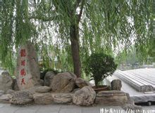九龙湖 九龙湖