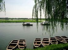 白洋淀 白洋淀