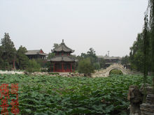 古莲池 古莲池