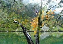 日则沟美景 日则沟美景