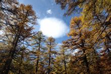 仙乃日南坡 仙乃日南坡