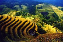 龙脊梯田 龙脊梯田