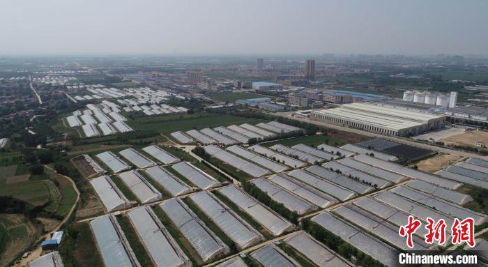 ɽ��һ��ũ�����뷭���ǣ������������׵��Ҽ��д���