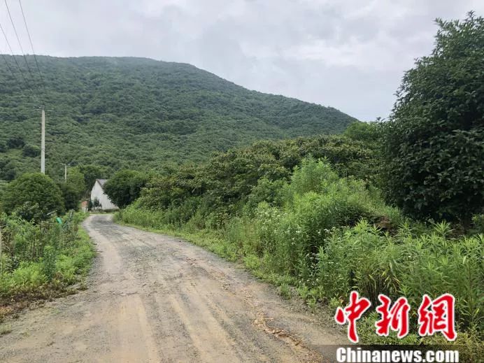 ���������һҳ