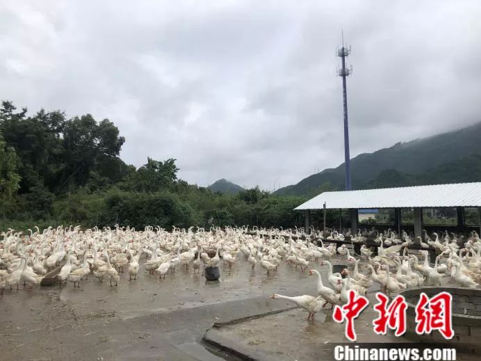 ���������һҳ