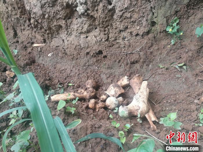 ���������һҳ