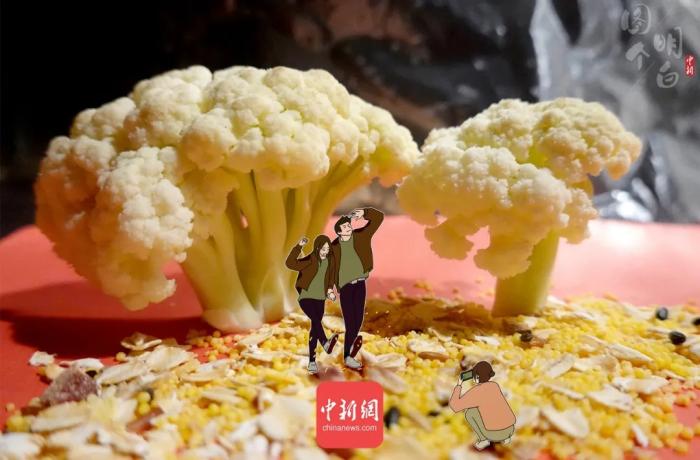 ���������һҳ