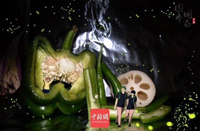 ���������һҳ