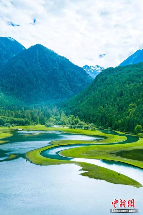 ���������һҳ