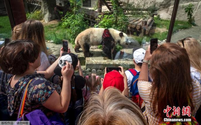 ���������һҳ