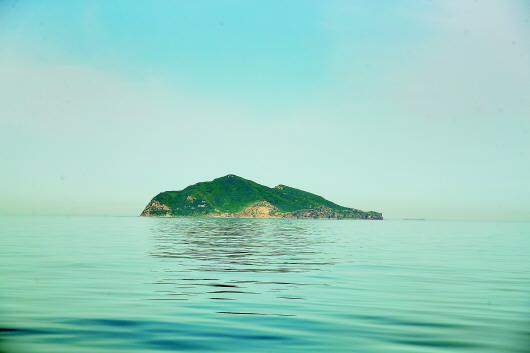 ���������һҳ