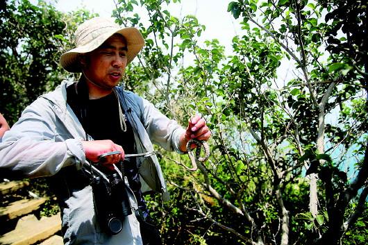 ���������һҳ