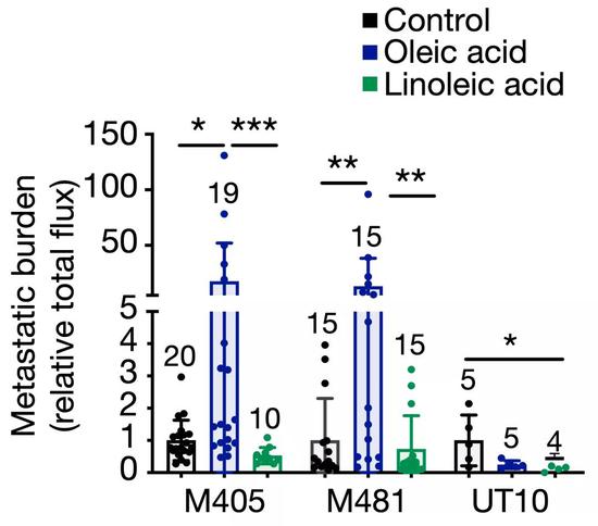 ������������ѪҺת�Ƶ�Ӱ��