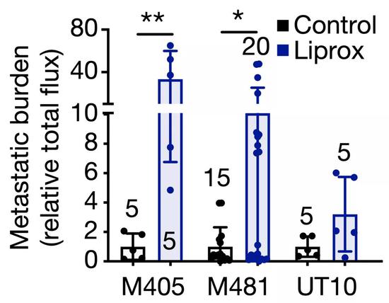 ���������Ƽ���ת�Ƶ�Ӱ��