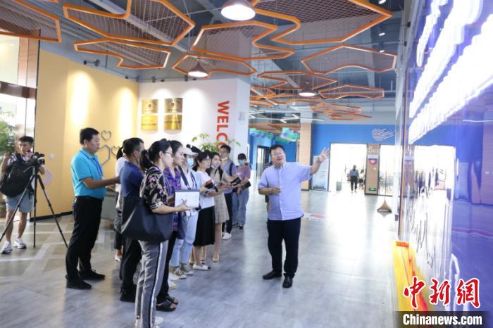 ͼΪý�����ڲɷ� �ֺ� ��