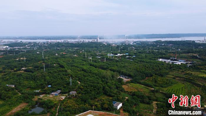 �����˲�Ҧ�Ҹۻ���԰��Χ��������<a target='_blank' href='http://www.chinanews.com/'>������</a>���߶�������