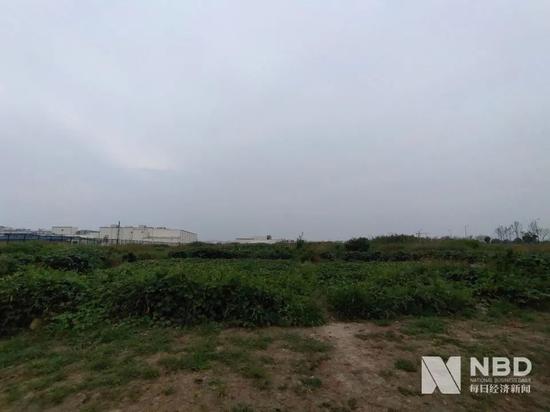 Beyond Meat�й������⽨������δ�����ؿ� ����ͼƬ��Դ��ÿ������ ���� ��