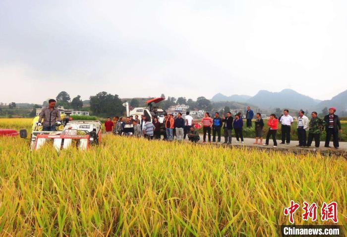 ����ͼ ������ ��