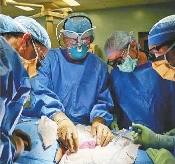 ���������һҳ