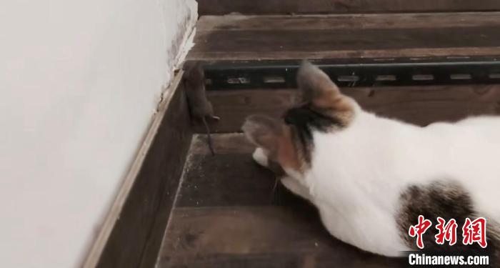 ���޶�����ץ���󡭡�����ҹ�ͼ